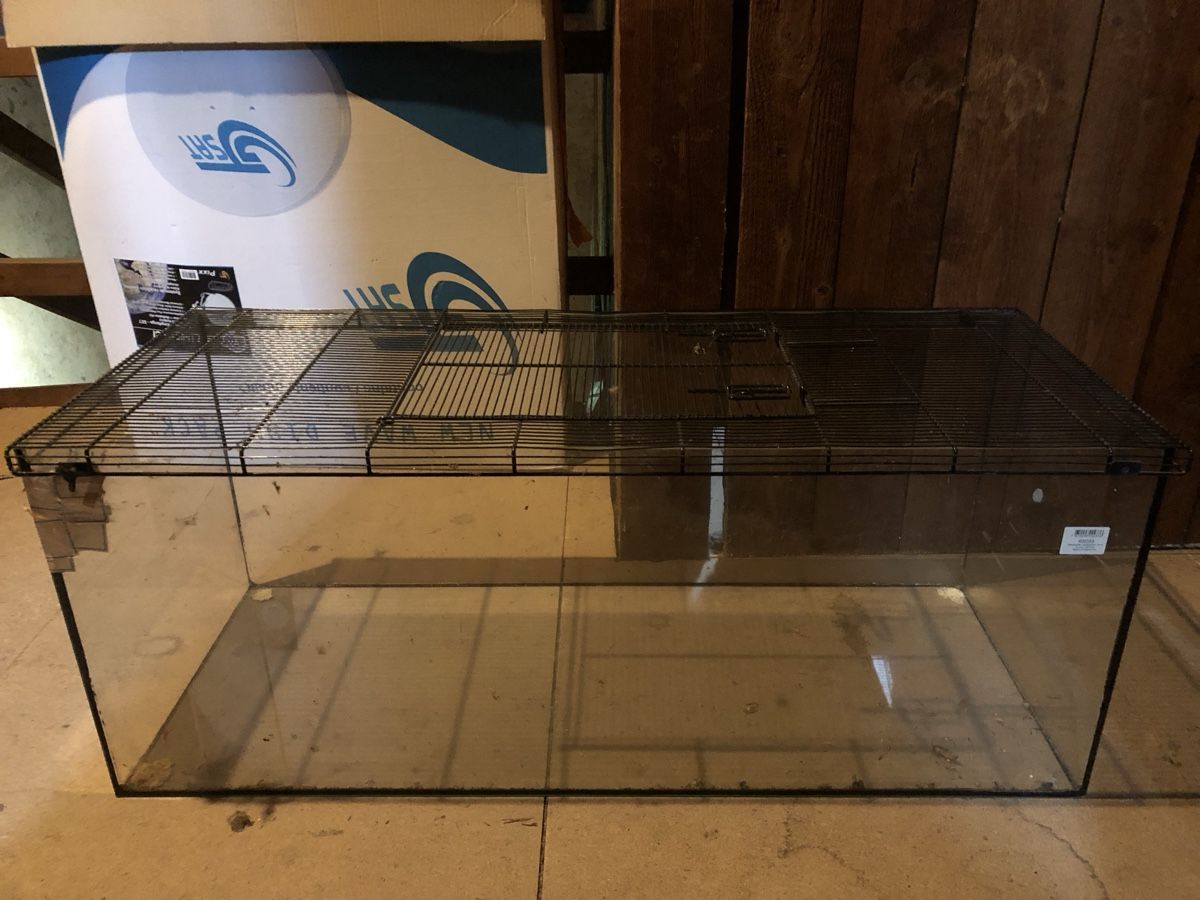 Terrarium: Terrarium /Glass – Gebraucht aus Olten von Lara1967 2