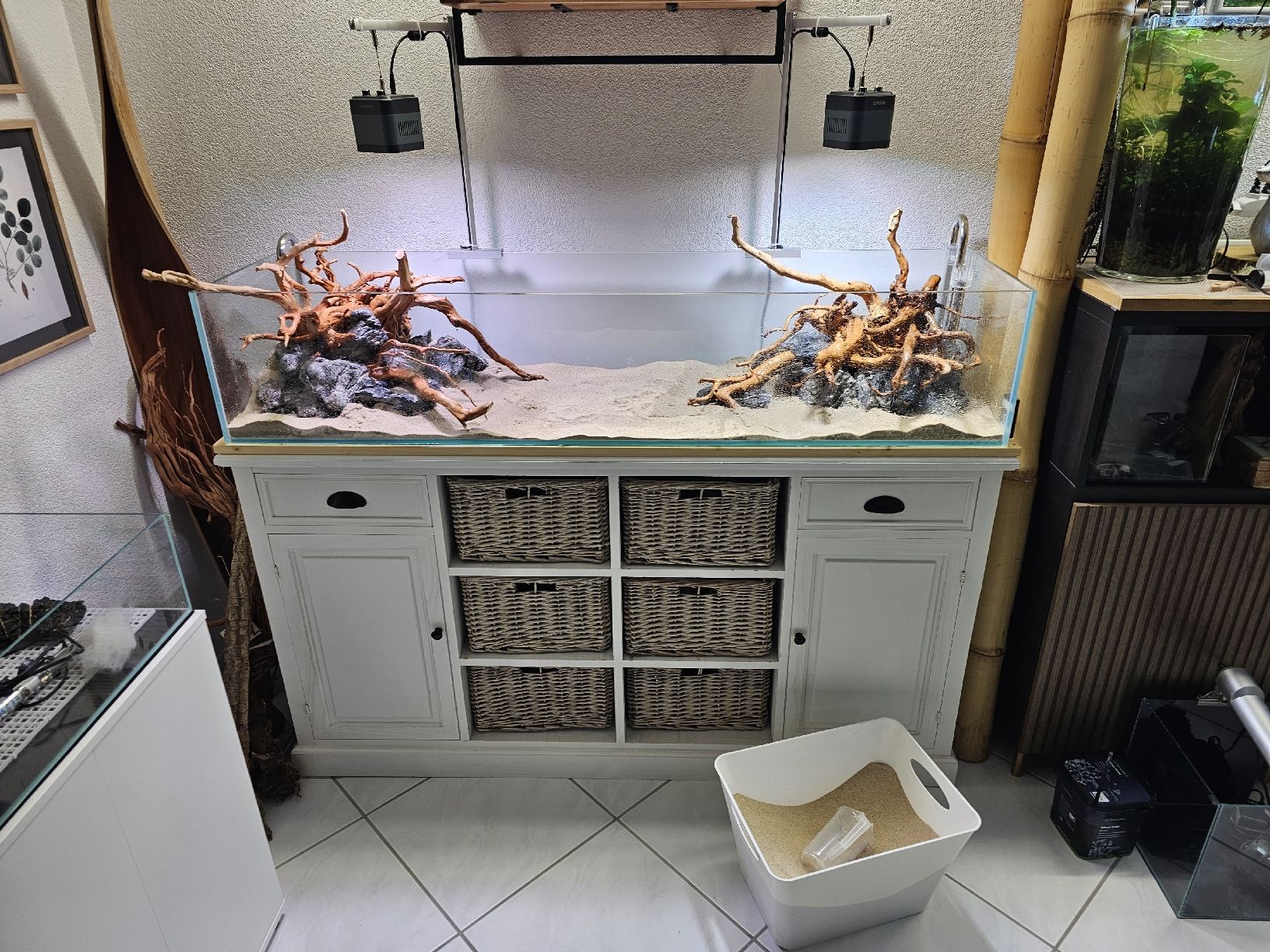Aquarium: Aquascaping Shallow Poolaquarium – Gebraucht aus Obergerlafingen von Deluxepoint 6