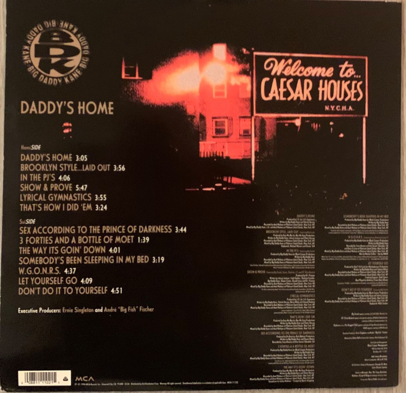 Dischi in vinile: BIG DADDY KANE - Daddy’s Home Lp 1994 – Usato da Mühlethal venduto da superfast78 1