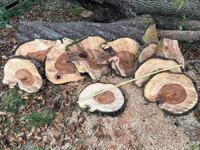 Holz Baum Stamm Scheibe Birne (9 Stück) (Neu (gemäss Beschreibung)) in ...