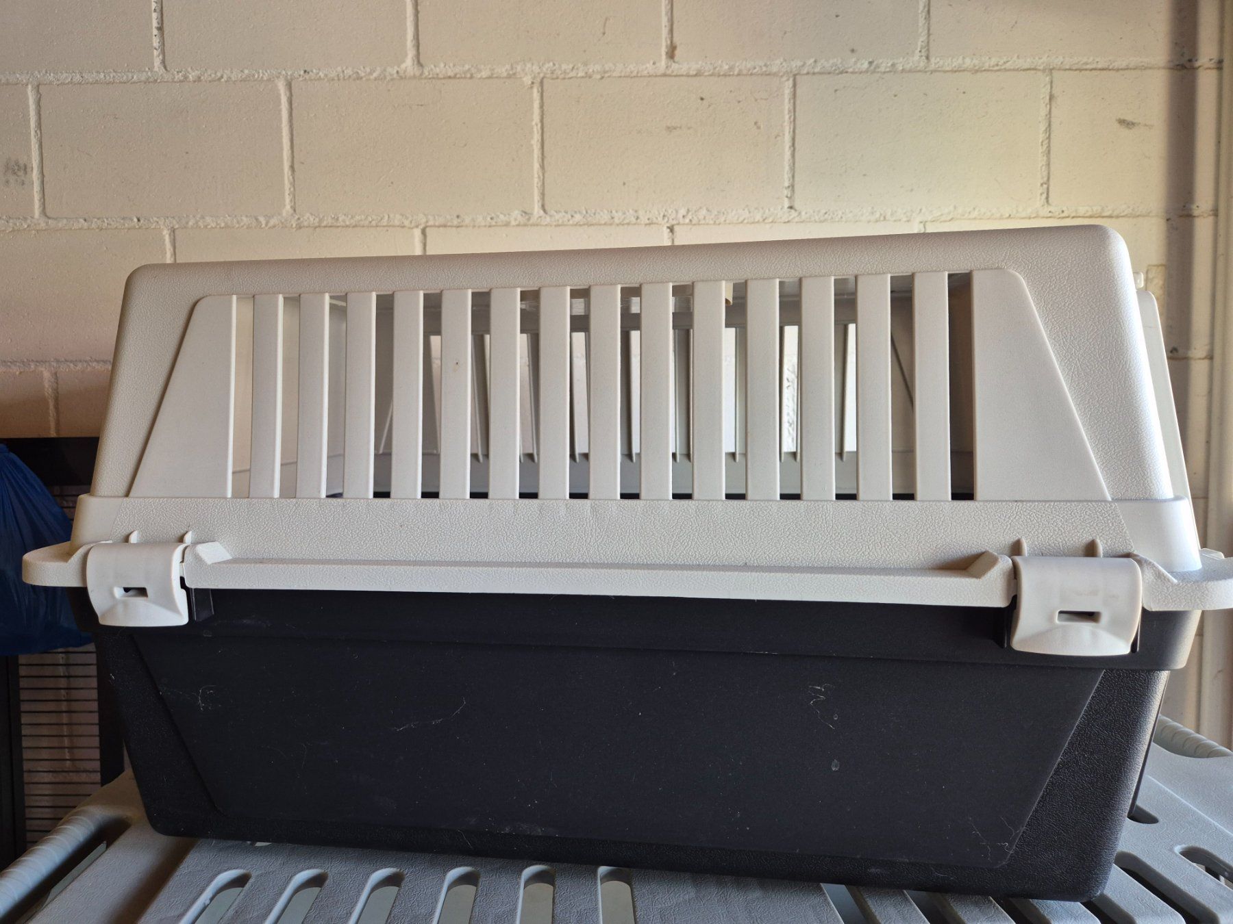 Gabbie, trasporto & Sicurezza: Tiertransportbox – Usato da Büttikon AG venduto da jajeda 1
