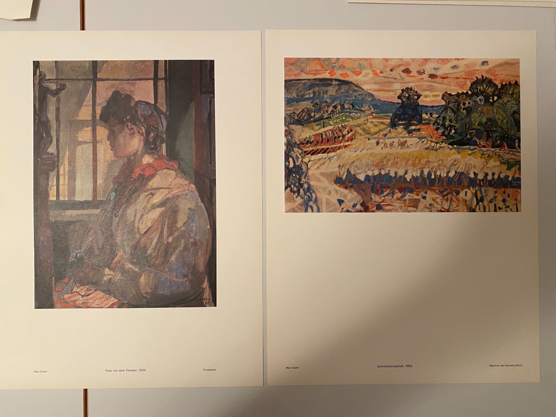 Foto & Immagini: Kunstmappe Max Gubler – Usato da Lüchingen venduto da LIDB 3