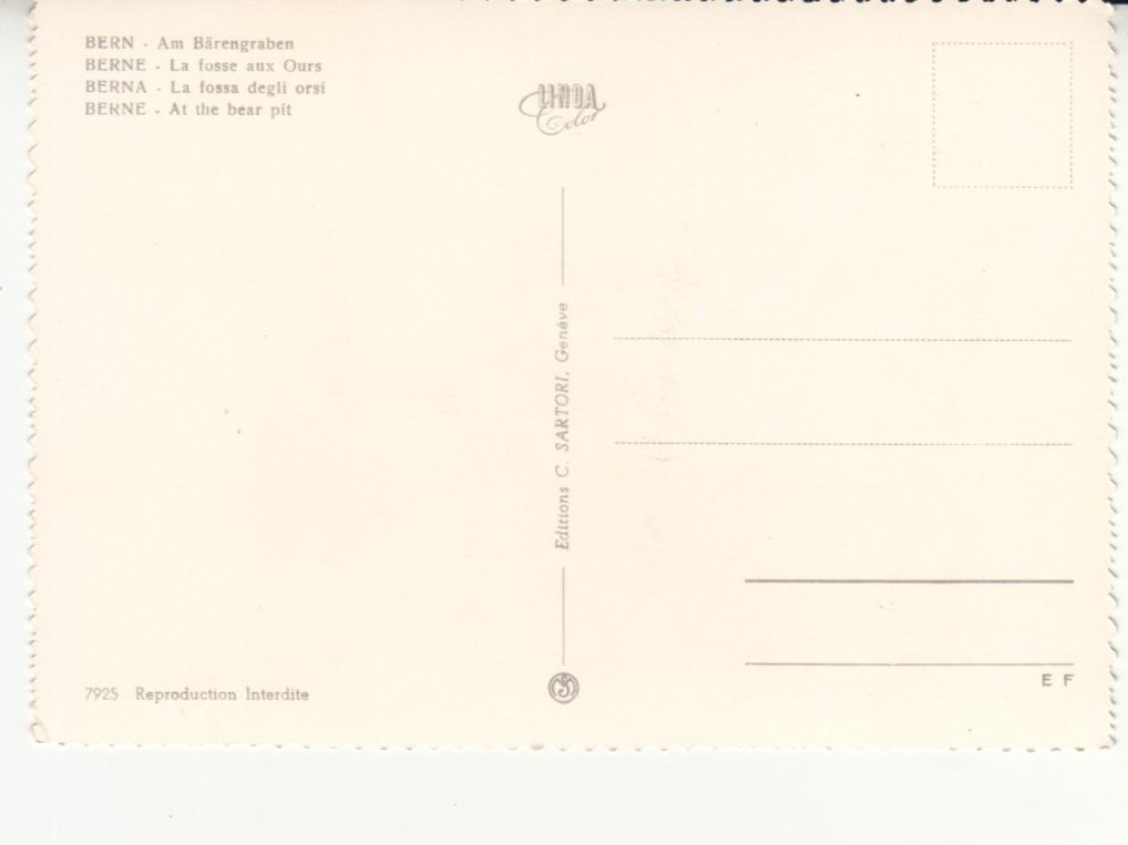 Cartoline postali: Bern Am Bärengraben ca. 1960 – Usato da Bürglen TG venduto da StampGraf 1