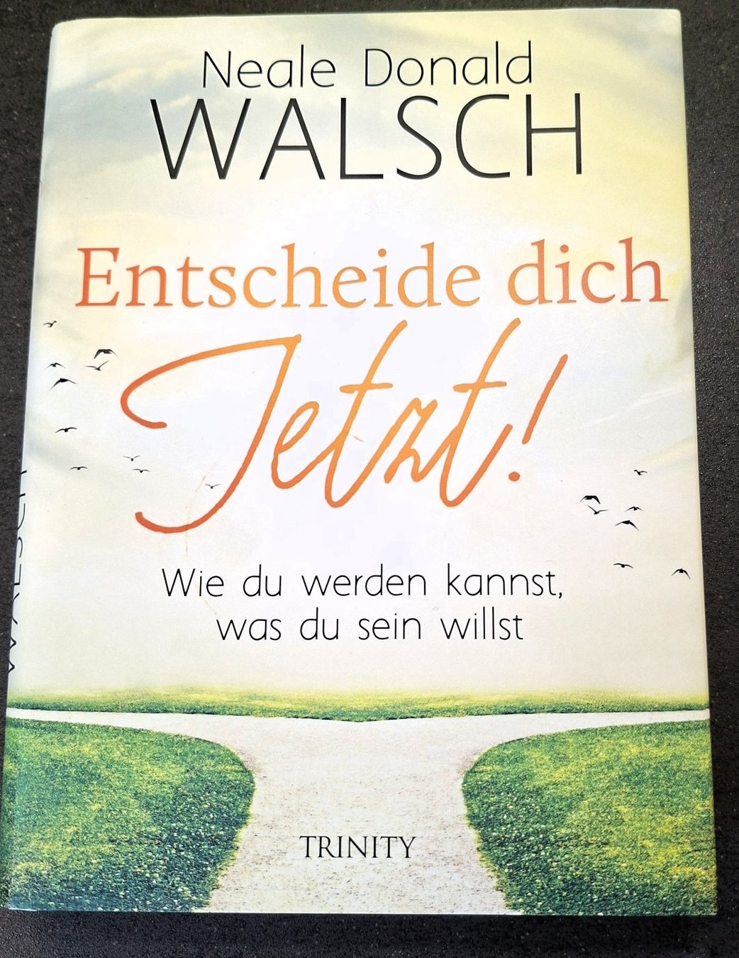 Libri: N. Walsch  ENTSCHEIDE DICH JETZT – Usato da Jegenstorf venduto da ladoga66