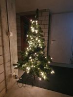 Weihnachtsbaum