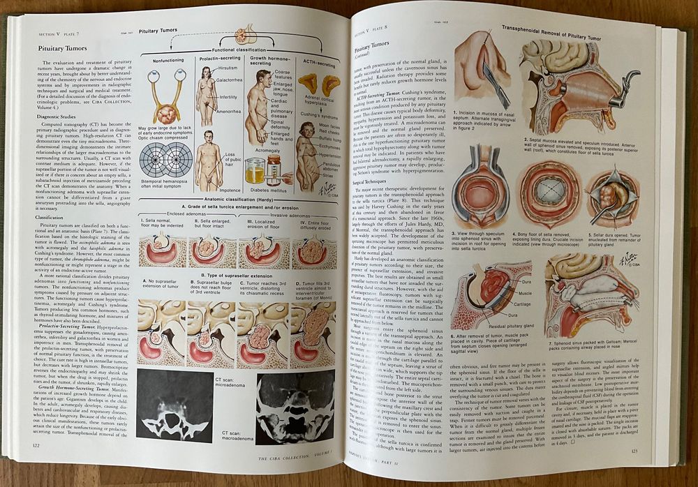 Netter: medical illustrations - neurology (Gebraucht) in Binningen für ...