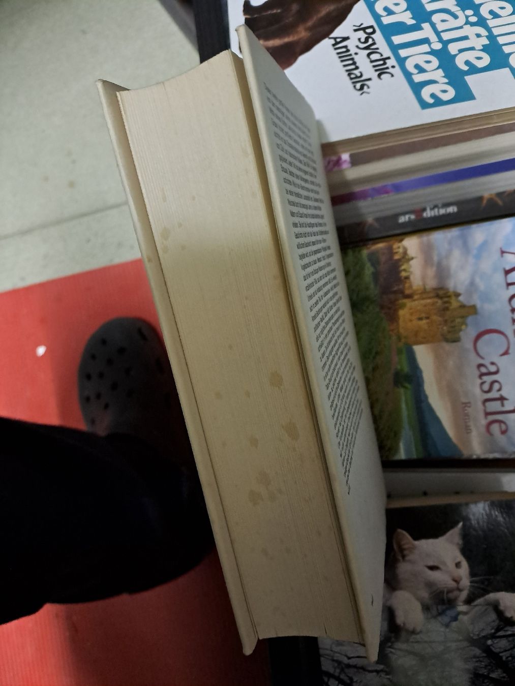 Libri: Grass Hundejahre Kultbuch 70er – Usato da Zürich venduto da Schoebi19 4