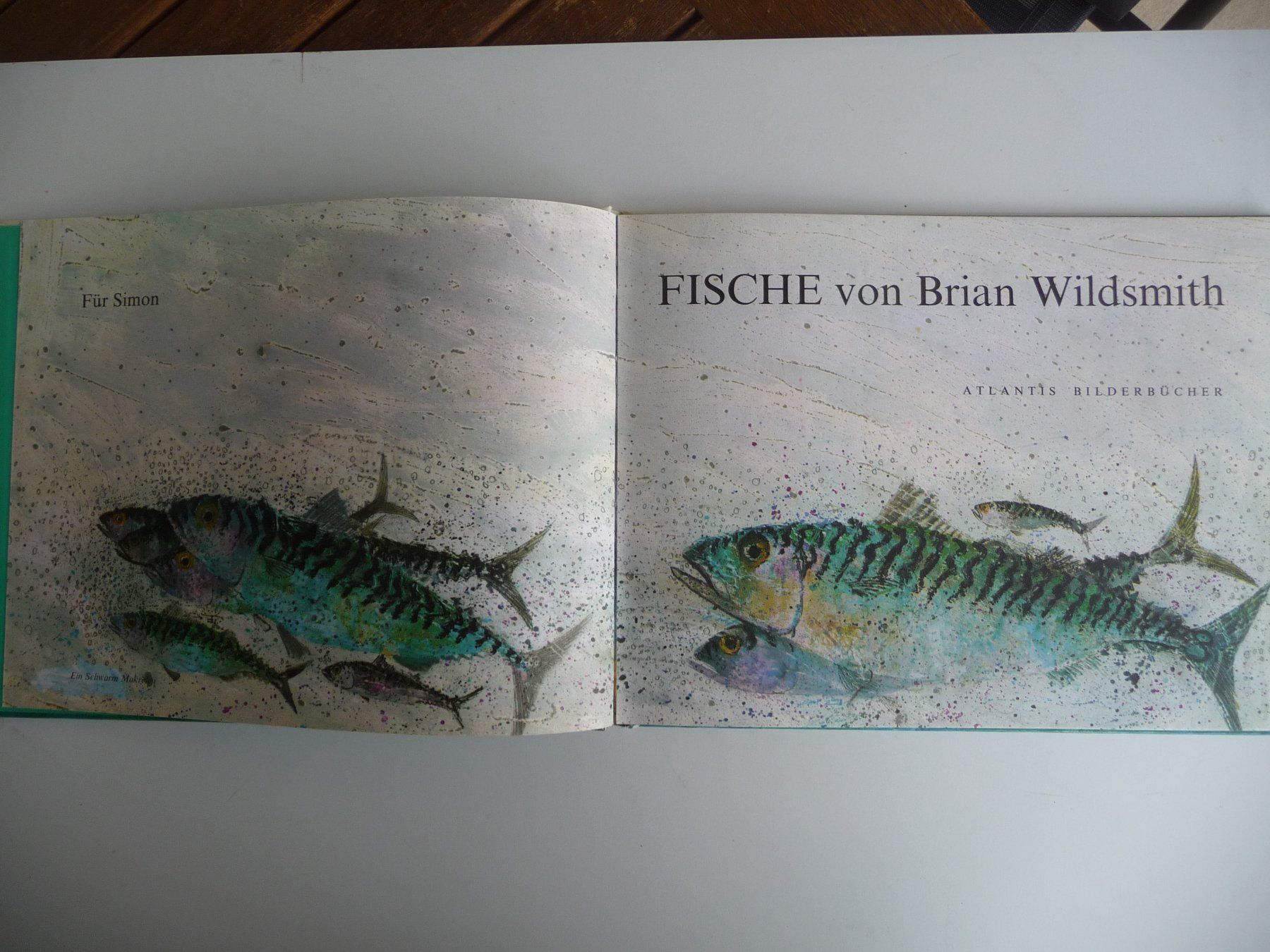 Libri: BRIAN WILDSMITH - FISCHE, ANTIKES KINDERBUCH – Usato da Aesch BL venduto da Imoonlight 1