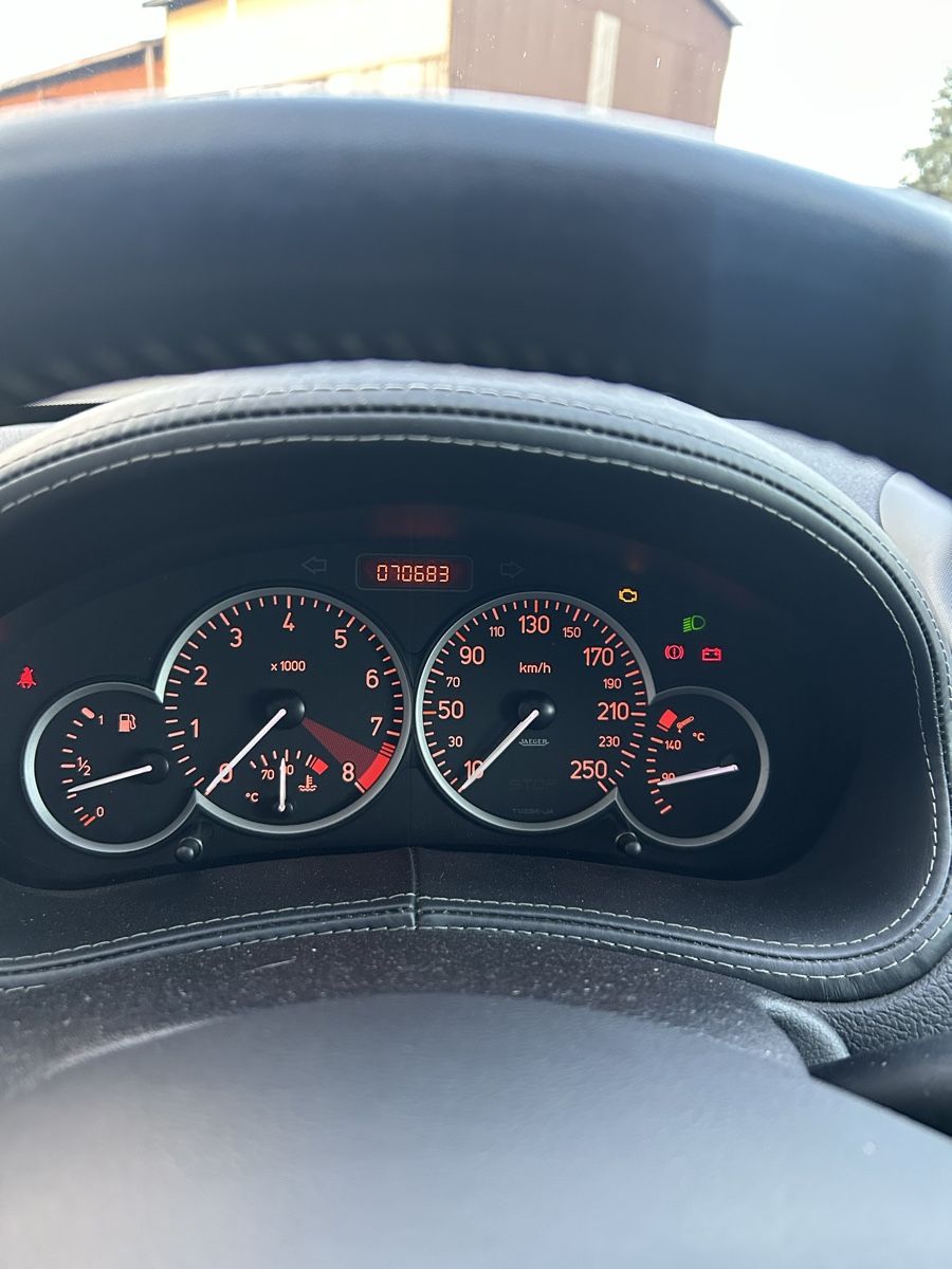 Peugeot Automobili: Peugeot 206 RC – Usato da Ulmiz venduto da fendt020 5