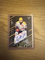 Denka Malgin, Lights Out 33/60, ZSC Lions, SportZoo 2025/26