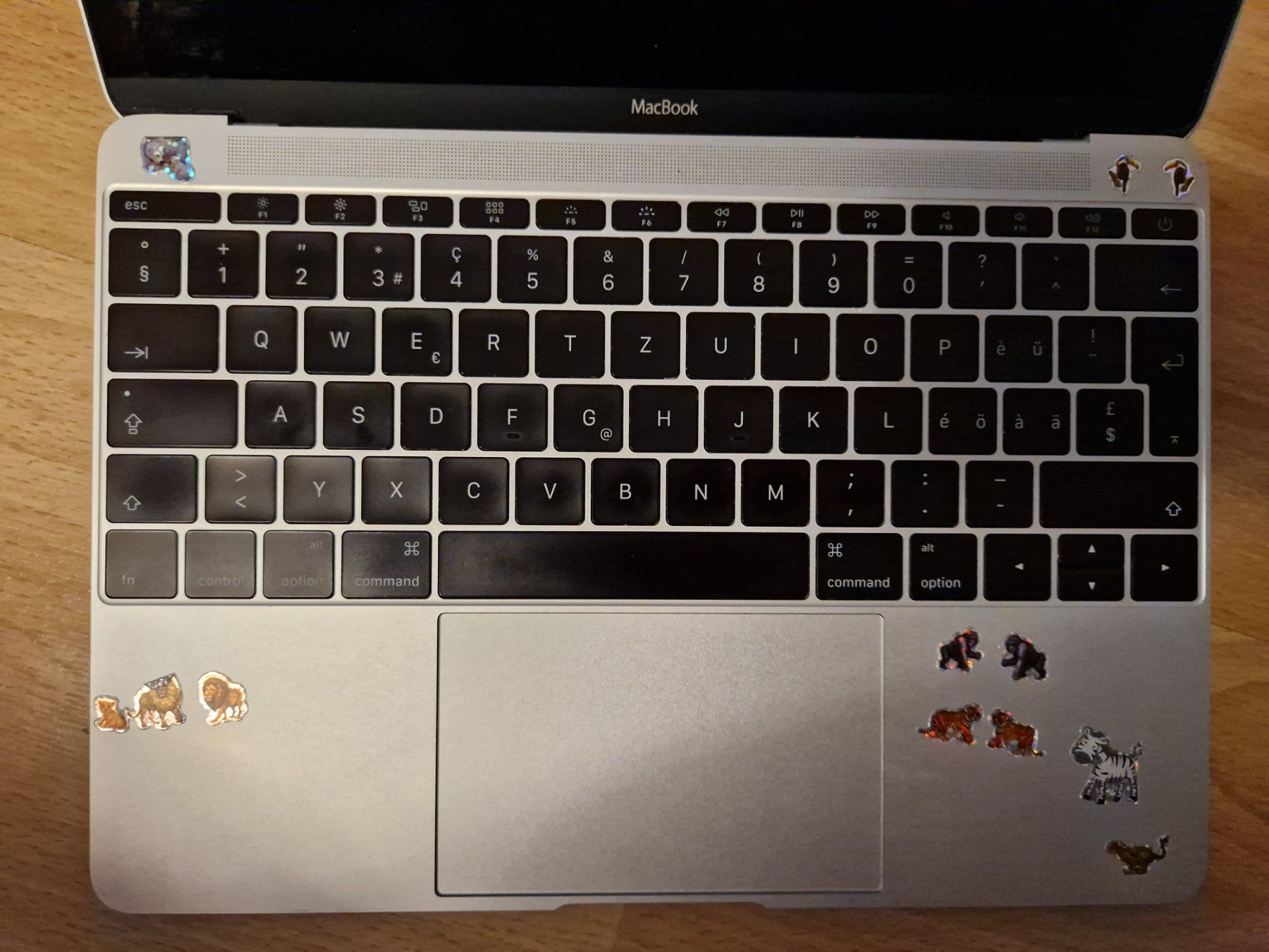 Apple Notebook: MacBook 12" / 2016 M5 / 8 GB RAM / 500 GB SSD – Usato da Zürich venduto da Arianco 5
