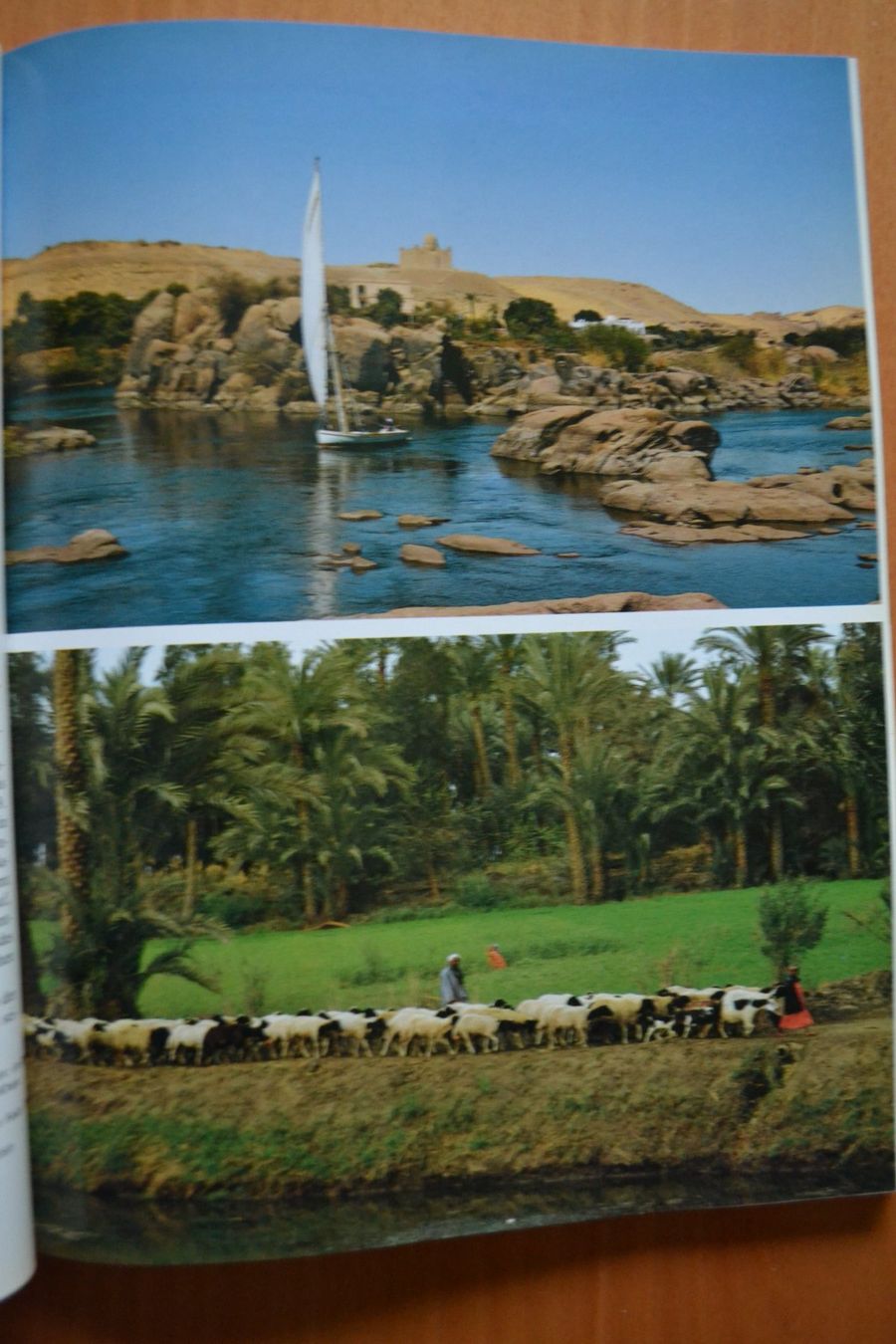Libri: Ganz Aegypten 126 Seiten – Usato da Beinwil am See venduto da kajak55 1