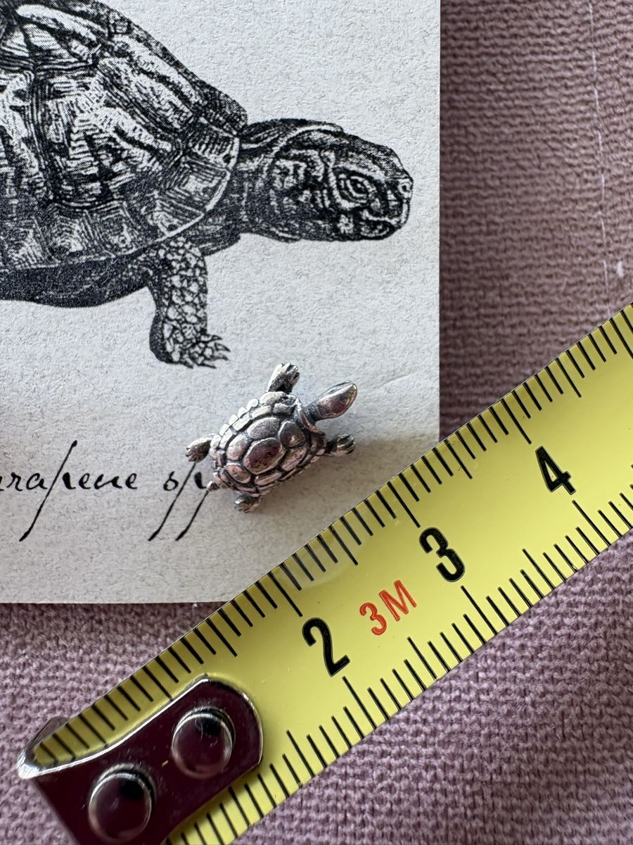 Orecchini pendenti & Orecchini a lobo:  Sterling Silver Turtle Earrings  – Nuovo e nell'imballaggio originale da Nyon venduto da Iamher 1