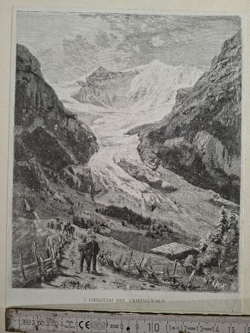 Incisioni: Lot 32 , 5 Stiche  – Usato da Grindelwald venduto da carro5 1