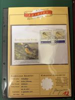 2007 Farbänderung und geänderter Eckzahn 