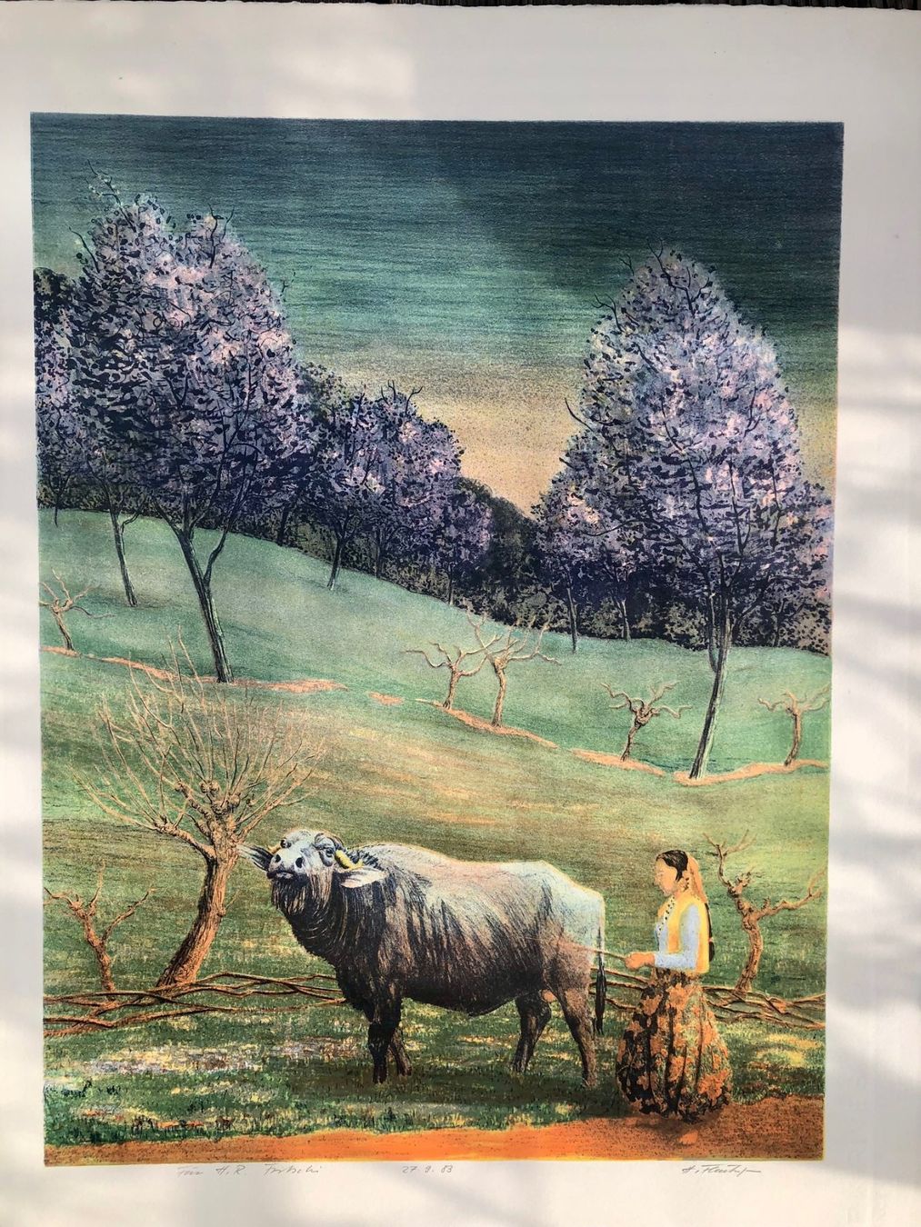 Grafica & Litografie: Lithographie von Hansjörg Flückiger 1983 – Usato da Winterthur venduto da Barunggeli 1