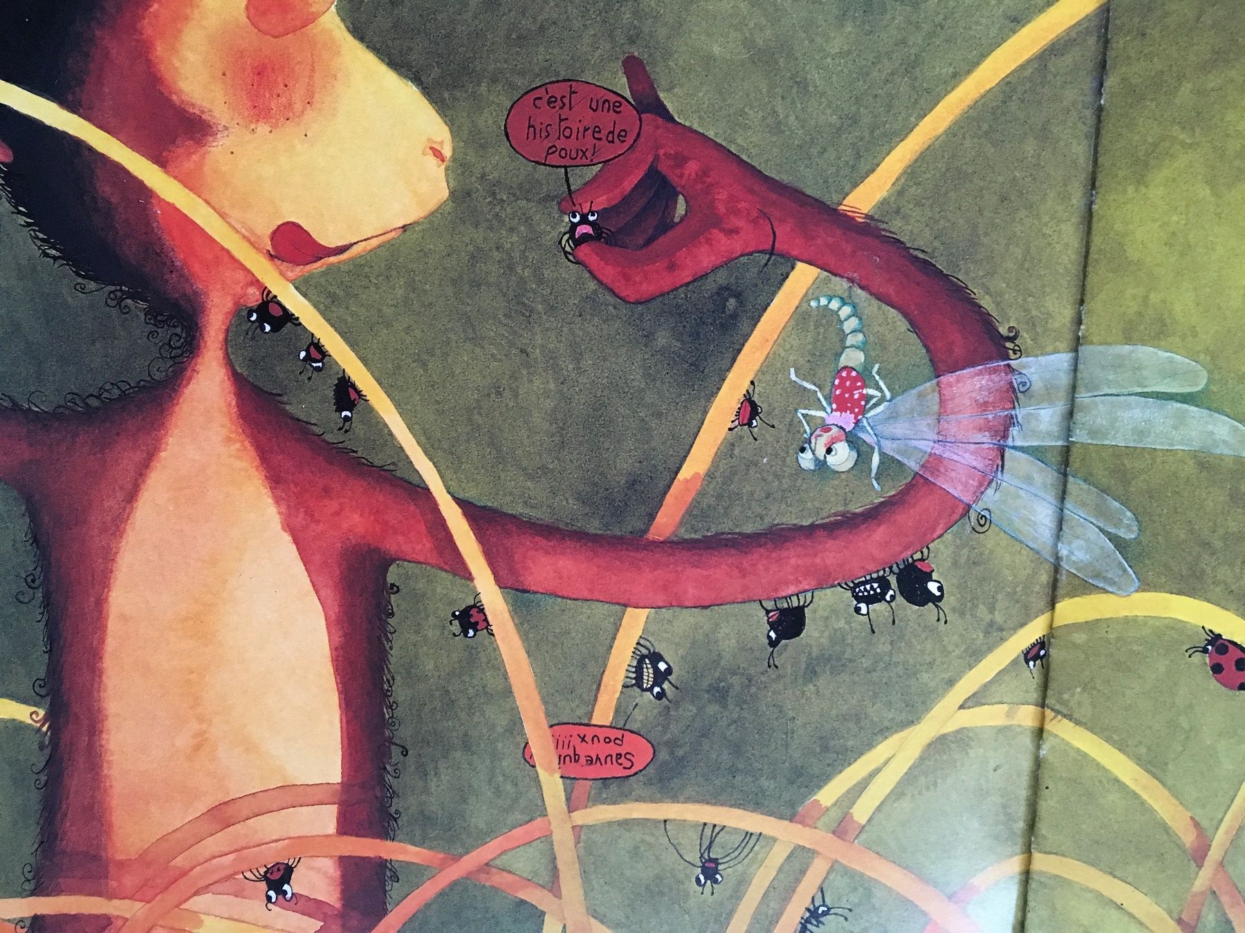 Libri: Lili la libellule           Bilboquet – Usato da Delémont venduto da vcx 3