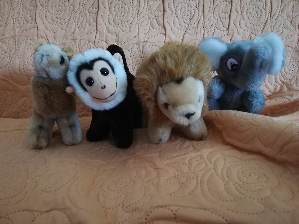 Spielzeuge: Peluches – Neu und originalverpackt aus La Sagne VD von bri_d6b5