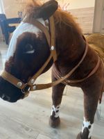 Pferd für kleine Reiter, Top Zustand!