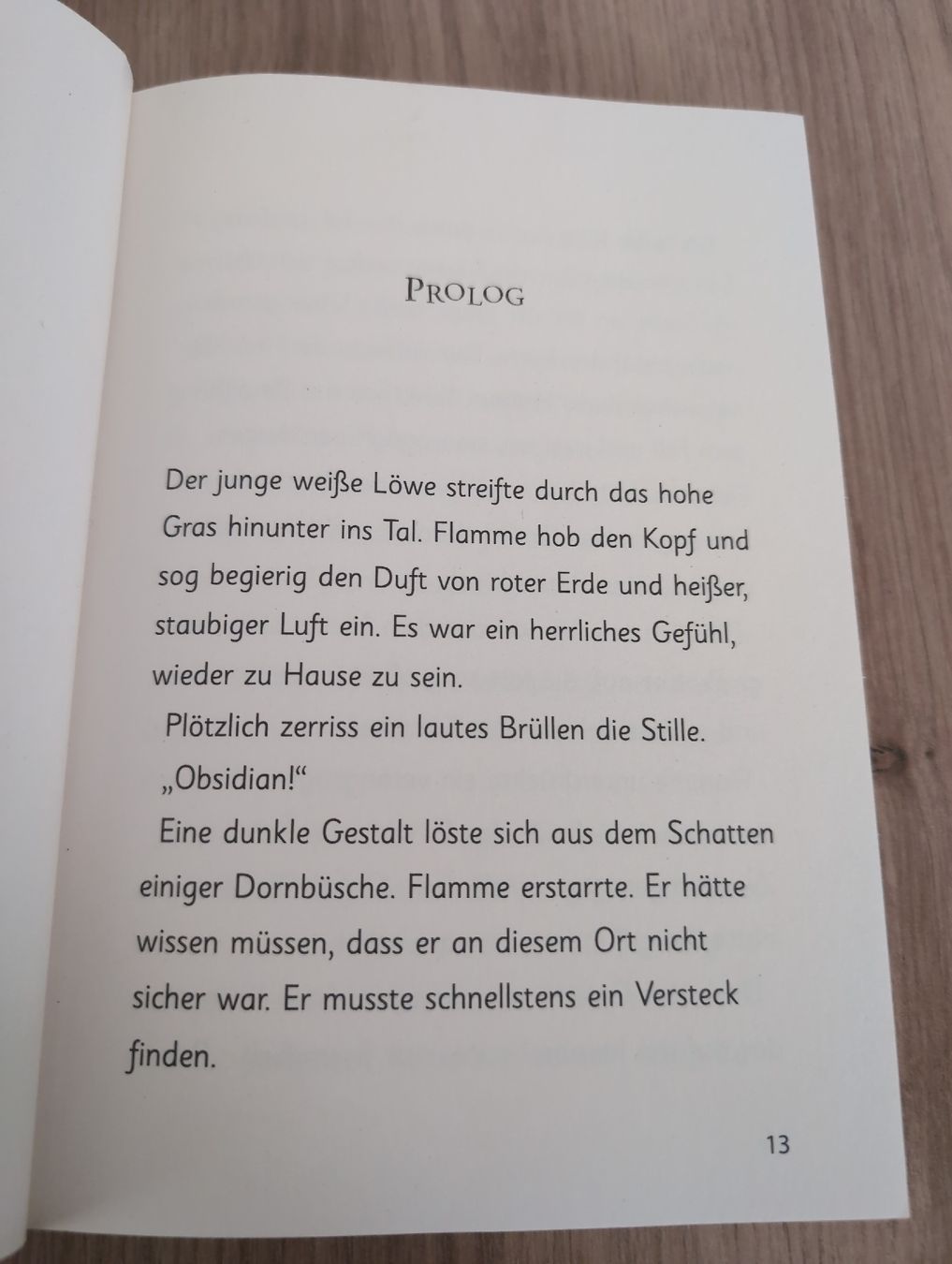 Libri: Zauber Kätzchen  – Usato da Mülligen venduto da magase34 3