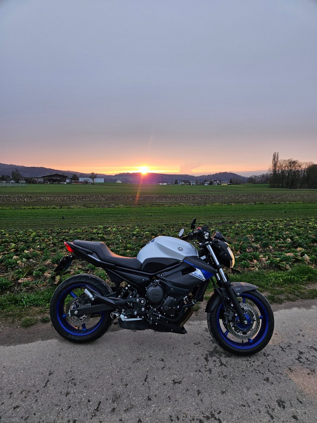 Yamaha Strasse: Yamaha XJ6 NA – Gebraucht aus Bünzen von sim_r7ts