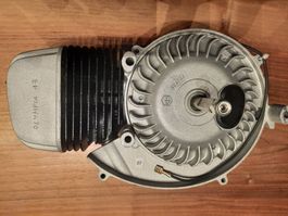 Piaggio Ciao 65ccm Renn Motor
