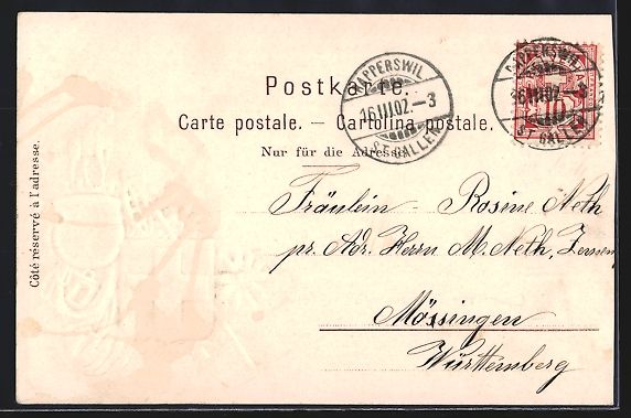 Cartoline postali: Passepartout-Lithographie Rapperswyl, Ge – Usato da Berlin venduto da bartko-reher 1