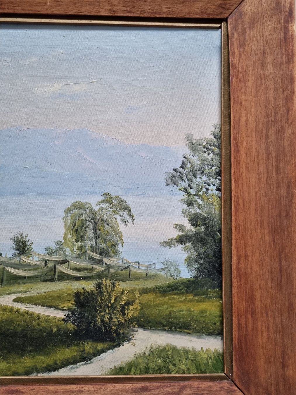 Tele & Cornici: Magnifique tableau d'Eugène Devaud de Madelin – Usato da Grand-Lancy venduto da Evelyne010 4