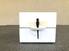 Edles Schmuckkästchen, Ausstellungsstück! Shoppreis 79.-