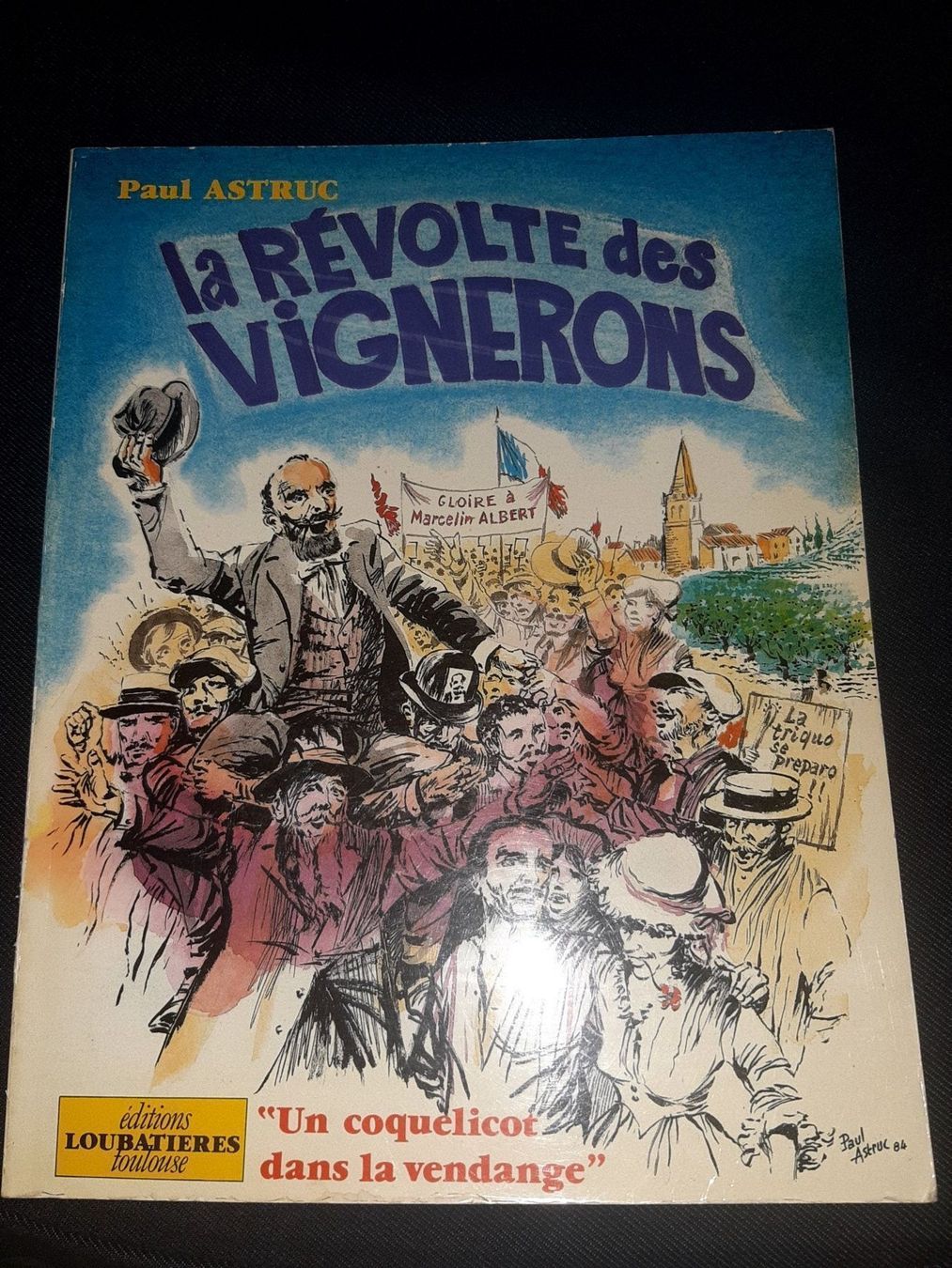 Libri: La revolte des vignerons – Usato da Le locle venduto da juliensaran