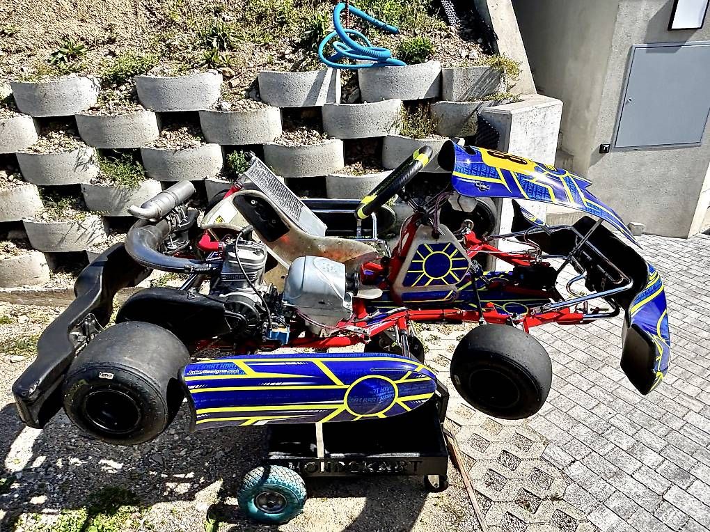Go-Kart: Kart 125 vortex DVS – Usato da Gravesano venduto da jonnykart 2