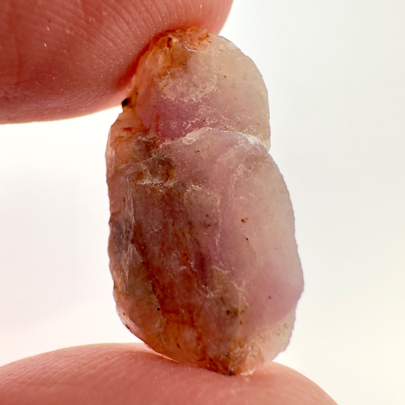 Minerali & Pietre curative: Natural Hackmanite - 8.33 ct - Afghanistan – Nuovo (secondo la descrizione) da Zürich venduto da Yoohooz 1