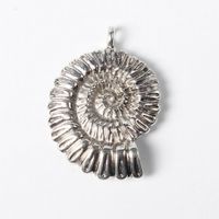 Anhänger Nautilus Muschel 37x27x7mm