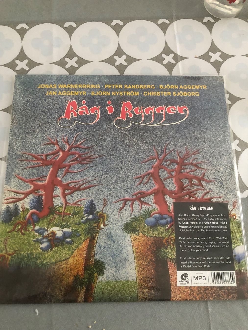 Dischi in vinile: Rag I Ryggen same 1974-75 hard rock Schweden – Usato da Zürich venduto da manuunited