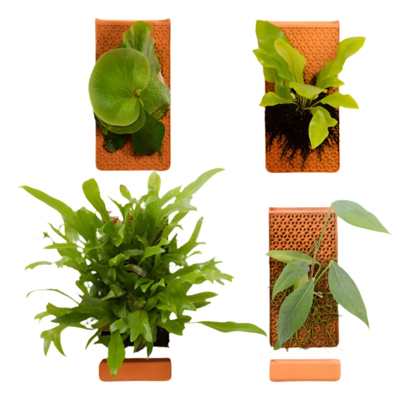 Vasi per fiori: Tile von Tevaplanter 2 x tevaplanter Tile 2 x Wall Base – Usato da Genève venduto da Greg_8ff 3