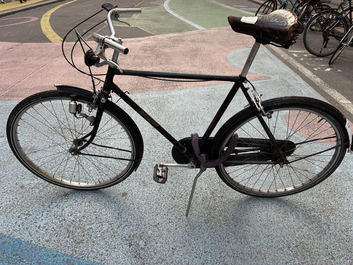 Raleigh Velos: Raleigh Velo – Gebraucht aus Basel von isabellebeck