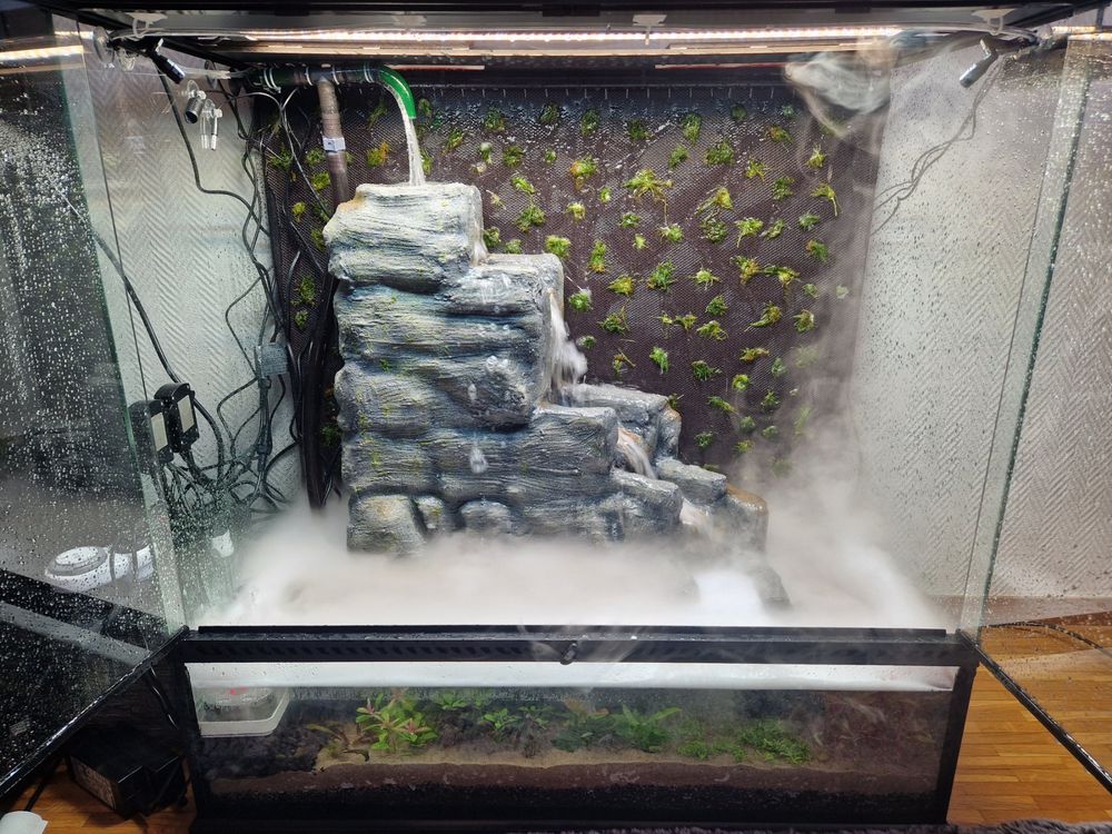 Terrarium Exo Terra 90x45x90 avec cascade Casiment Neuf Kaufen auf