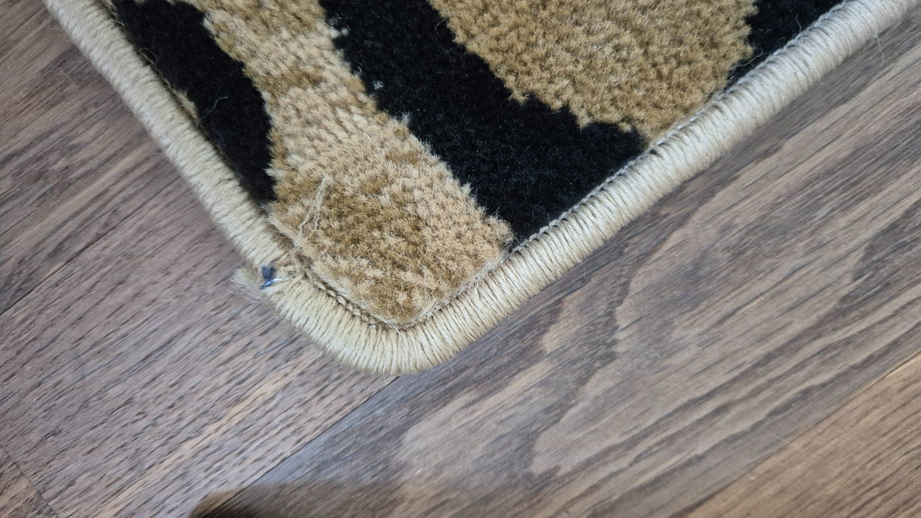 Tapis: Leopard short pile rug 212x308cm – D'occasion à Zürich par monadiederich 3