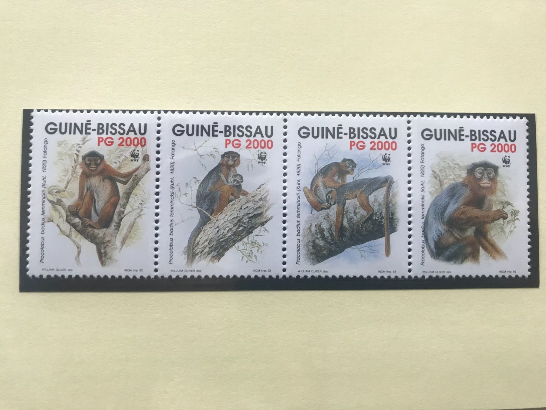 Tutti i francobolli: WWF Guinea-Bissau 1992 Satz Roter Stummelaffe postfrisch – Nuovo (secondo la descrizione) da Winterthur venduto da schnueps