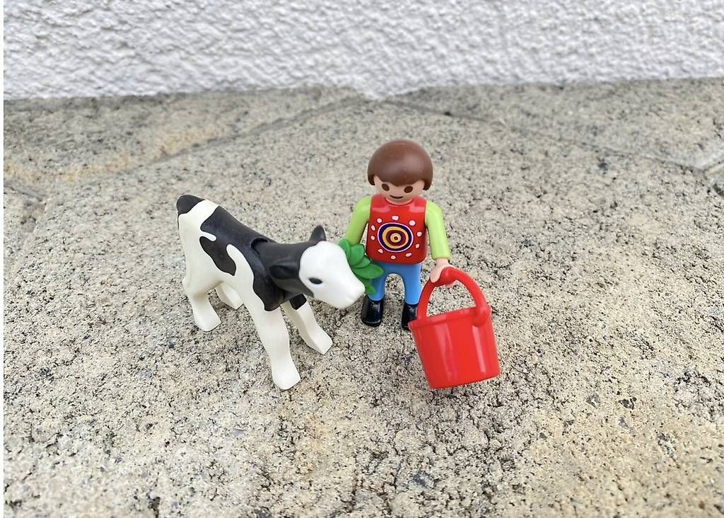 Jouets: Playmobil Junge mit Kuh – D'occasion à Sarnen par Sejosa15 1