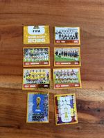 Panini FWC