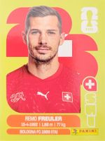 Panini FIFA World Cup SUI 11