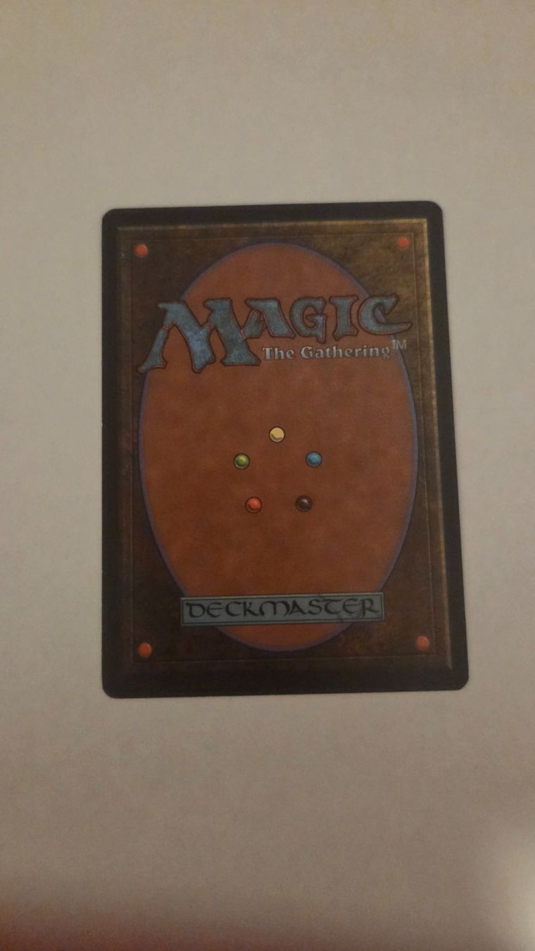Magic The Gathering Carte collezionabili: Mtg TAIGA (Foreign Limited ) – Usato da Buchs SG venduto da Remomoses 1