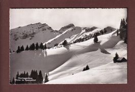 OBERTOGGENBURG - Winter im Speergebiet - 1953