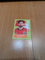 Panini AUT14