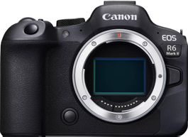 Canon EOS R6 Mark II, 24.20 Mpx + 2xPatona Protect 2250 mAh