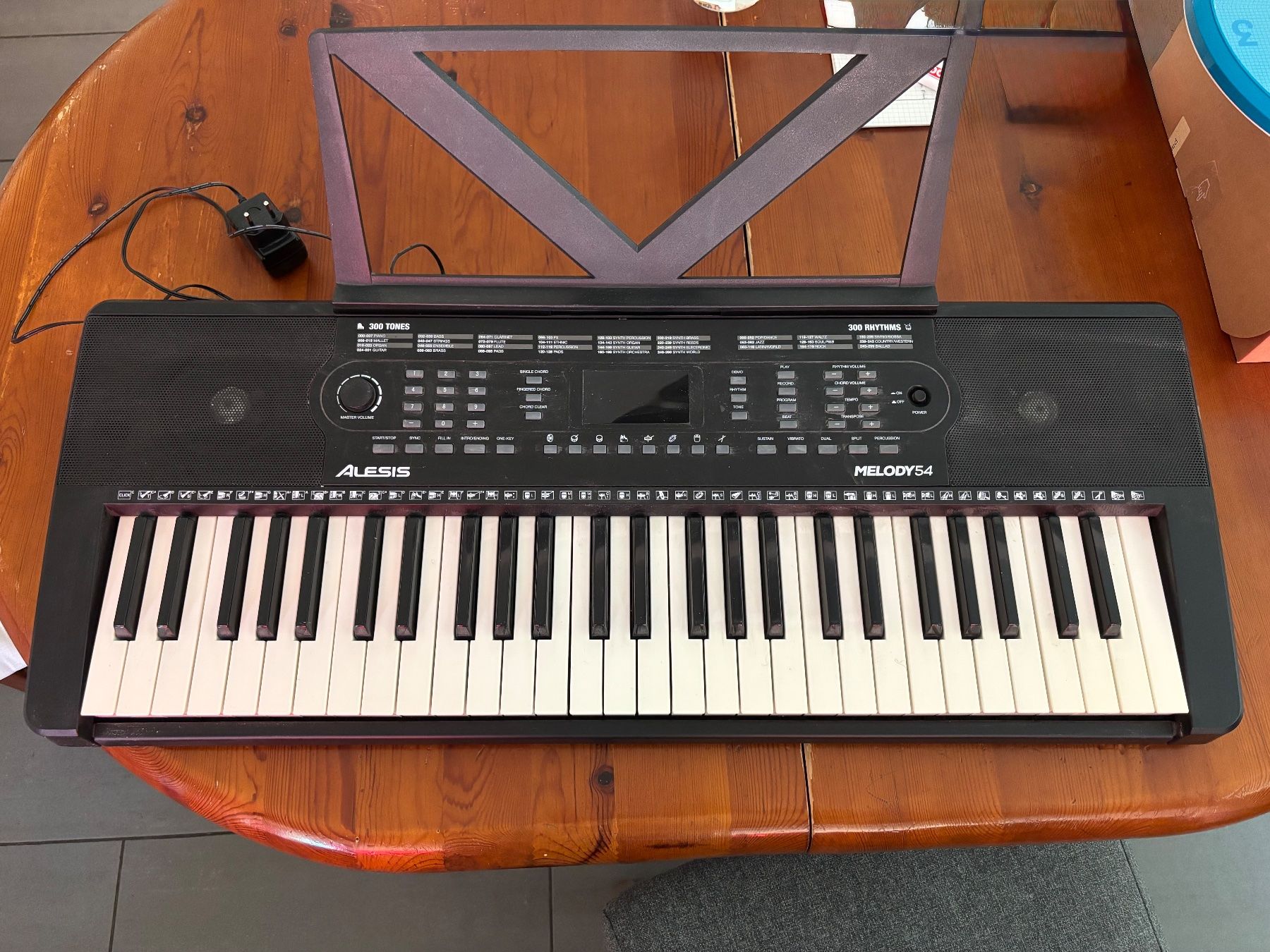 Alesis Strumenti musicali: Keyboard / E-Piano für Einsteiger - ALESIS MELODY54 – Usato da Wettingen venduto da bob_gq5z