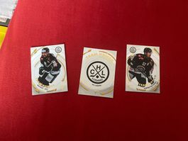 3 Cartes Team Power HC Lugano Joly Peltonen Upper Deck NH...