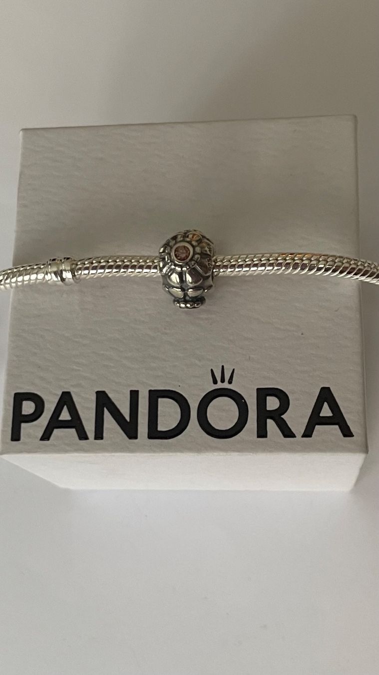 Pandora Ciondoli: Original Pandora Charm Bead – Nuovo e nell'imballaggio originale da Rüfenacht BE venduto da Milena_1 3