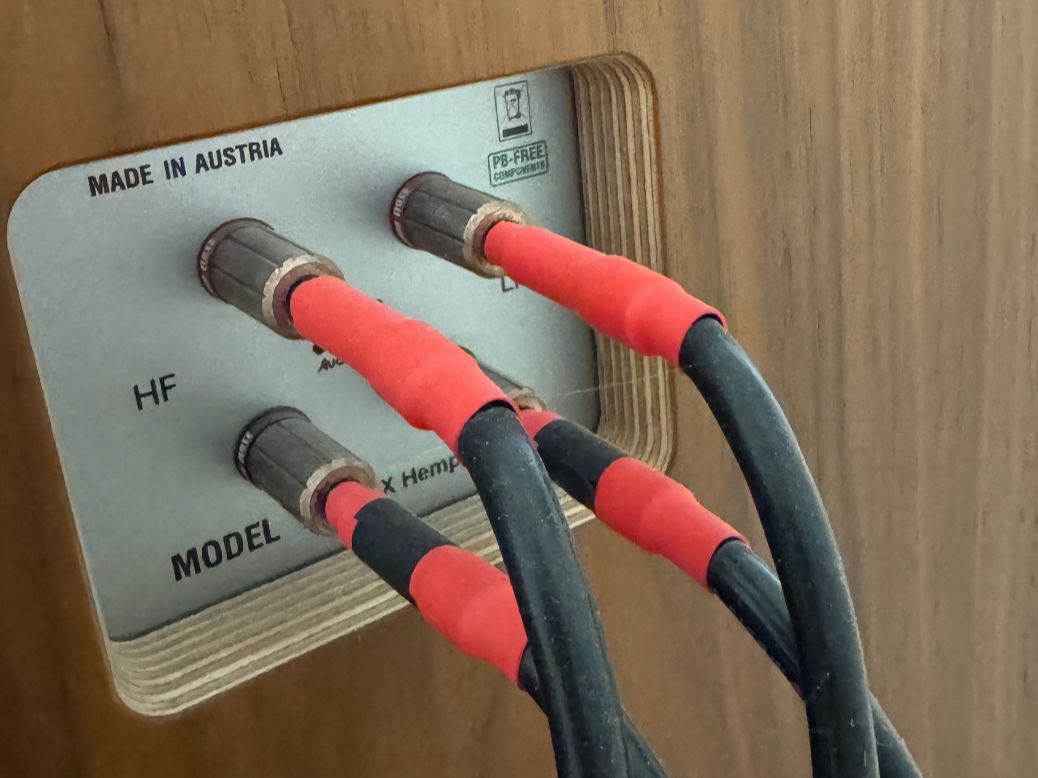 Audio Note Haut-parleurs: Audio Note AN/E Hemp LX – D'occasion à Beinwil am See par Bergbilder 4